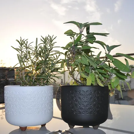 Διαμέρισμα Habitat Lobby - Modern Penthouse With Private Parking Τρίκαλα